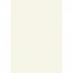 Farebný papier A4 130g perlový - 100 ks