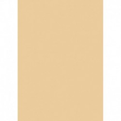 Farebný papier A4 130g marhuľa - 100 ks