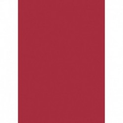 Farebný papier A4 300g červený tulipán - 50 ks