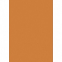 Farebný papier A4 300g oranžová - 50 ks