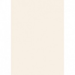 Farebný papier A4 300g farba kože - 50 ks