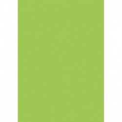 Farebný papier A4 300g májová zelená - 50 ks