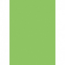 Farebný papier A4 300g zelená tráva - 50 ks