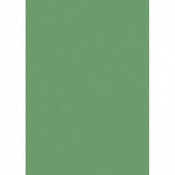 Farebný papier A4 300g zelený list - 50 ks