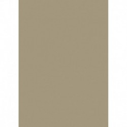 Farebný papier A4 300g bahno - 50 ks
