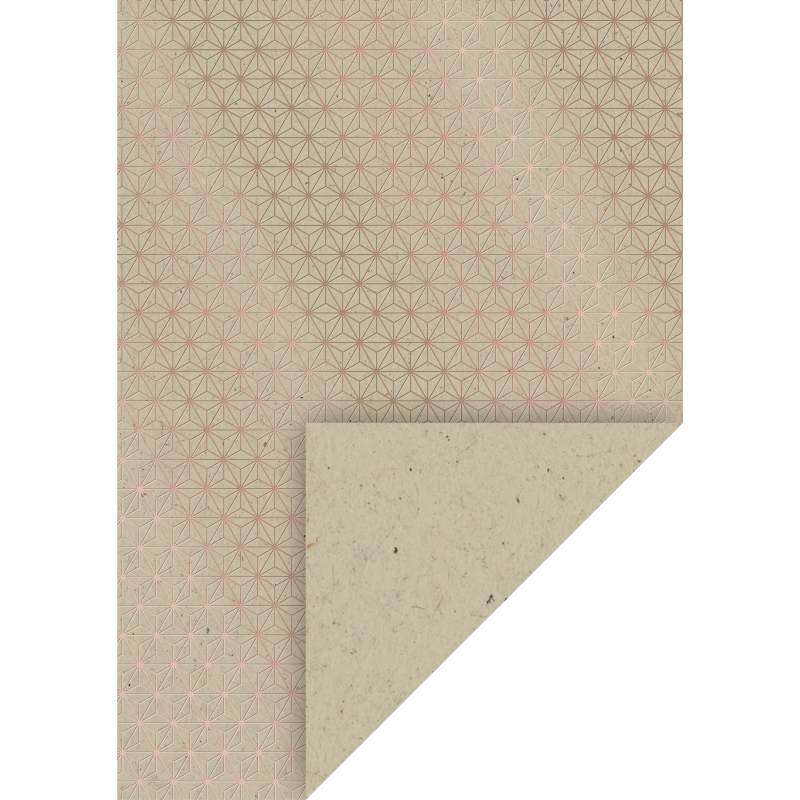Papier motívový 10 ks 220g/m2 A4 Natur/ružovozlatá Starlight