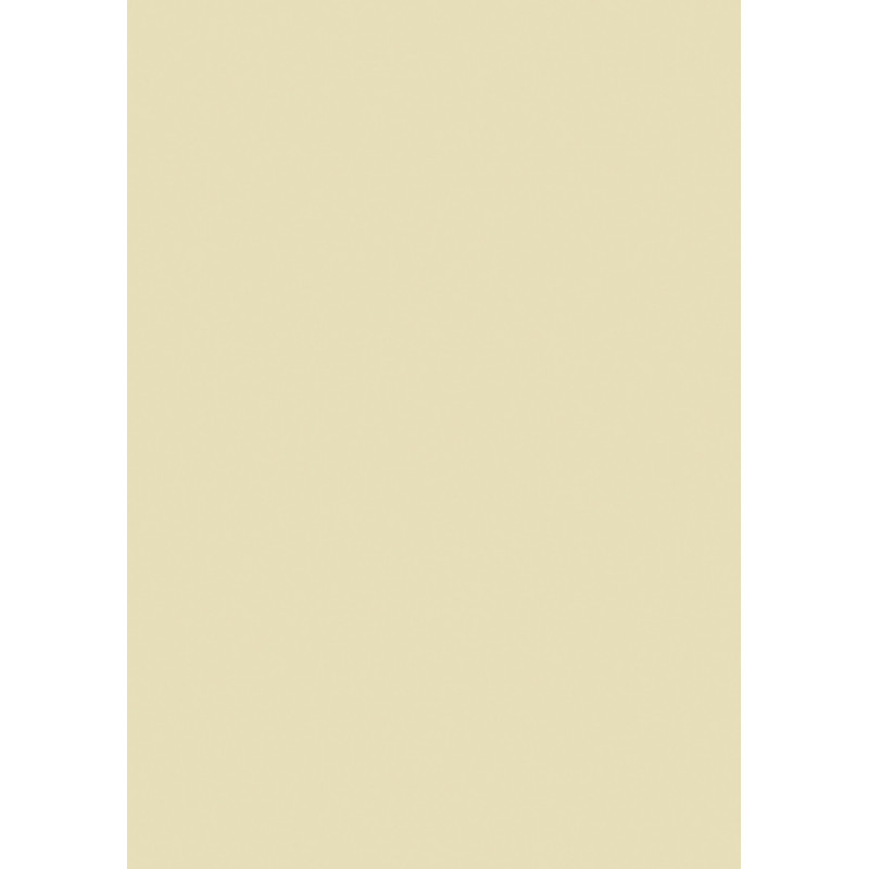 Farebný papier A4 130g chamois - 10 ks
