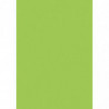 Farebný papier A4 130g májová zelená - 10 ks