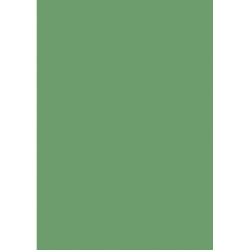 Farebný papier A4 130g zelený list - 10 ks