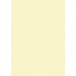 Farebný papier A4 300g...