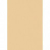 Farebný papier A4 300g marhuľa - 10ks